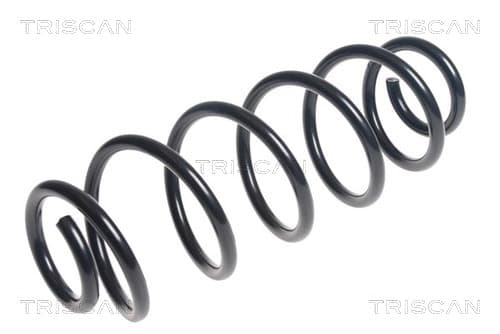 Spiralfjäder bak från TRISCAN