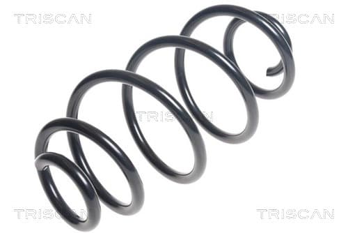 Spiralfjäder bak från TRISCAN