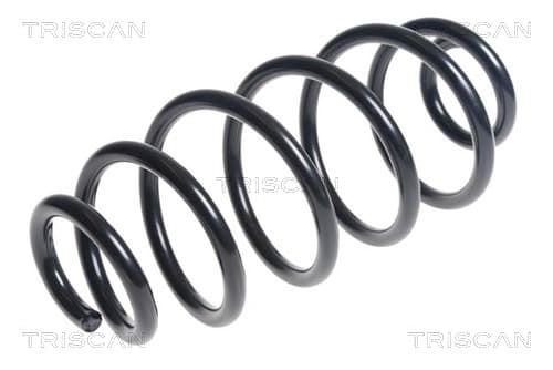 Spiralfjäder bak från TRISCAN