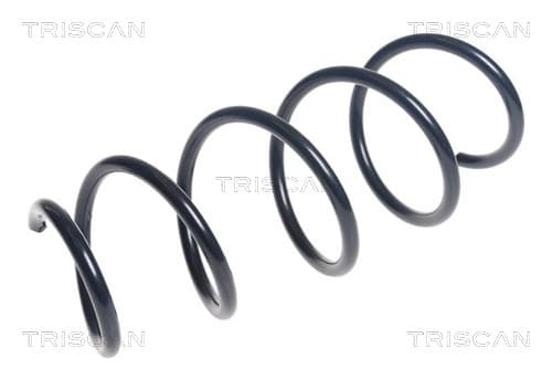 Spiralfjäder fram från TRISCAN