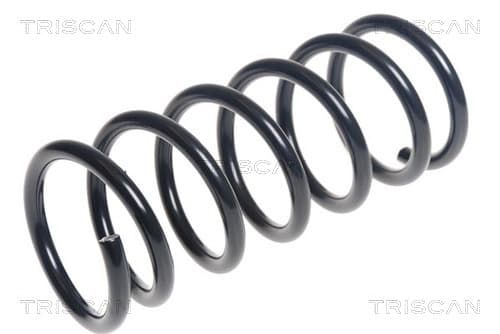 Spiralfjäder bak från TRISCAN