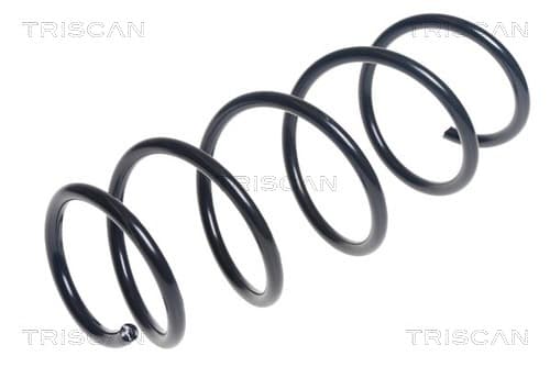 Spiralfjäder fram från TRISCAN