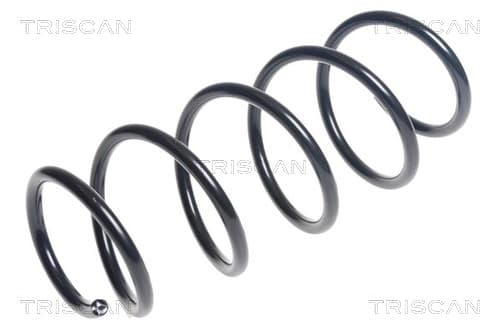 Spiralfjäder fram från TRISCAN