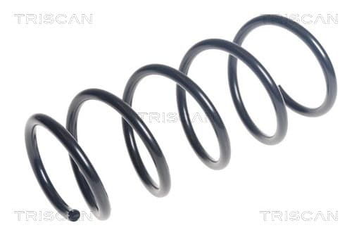 Spiralfjäder fram från TRISCAN