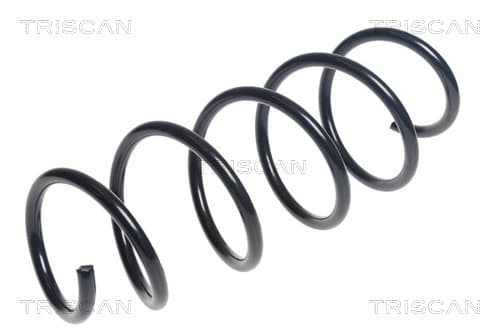 Spiralfjäder fram från TRISCAN