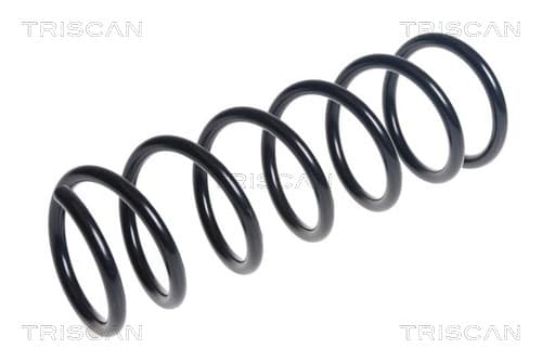 Spiralfjäder bak från TRISCAN