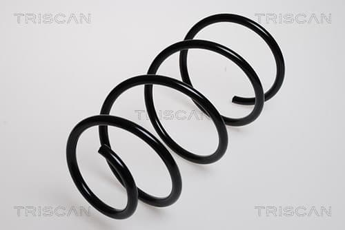 Spiralfjäder bak från TRISCAN