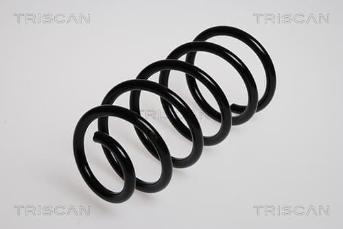 Spiralfjäder bak från TRISCAN