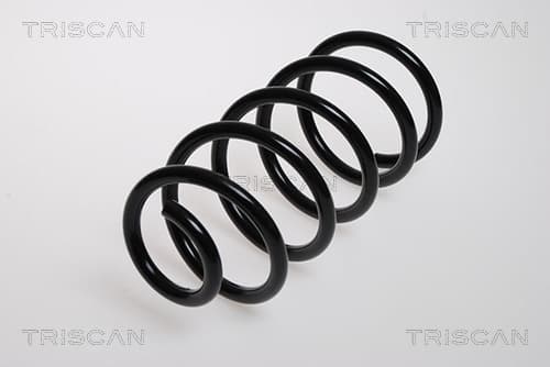 Spiralfjäder bak från TRISCAN