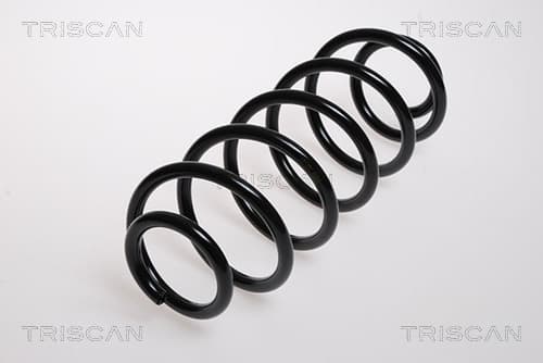 Spiralfjäder bak från TRISCAN