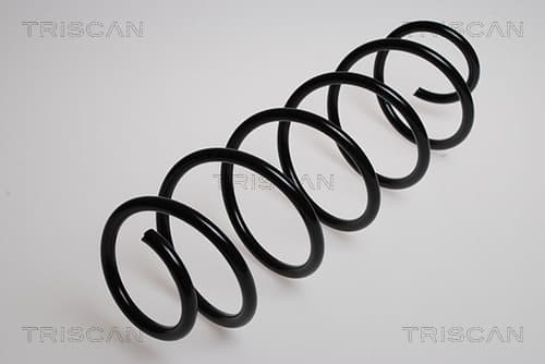 Spiralfjäder fram från TRISCAN