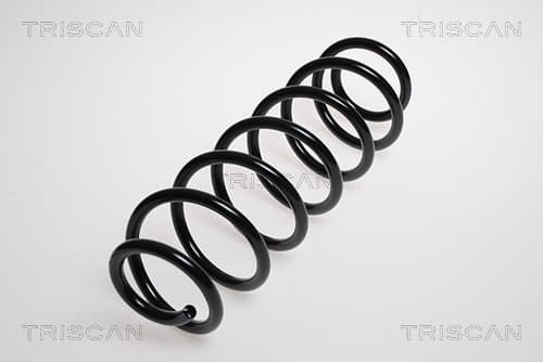 Spiralfjäder bak från TRISCAN