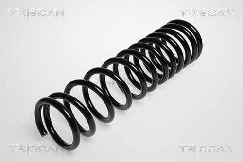 Spiralfjäder bak från TRISCAN