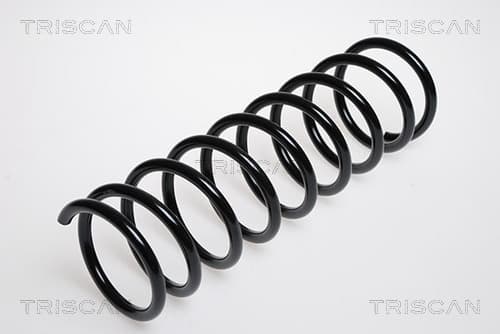 Spiralfjäder bak från TRISCAN