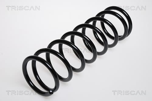 Spiralfjäder bak från TRISCAN