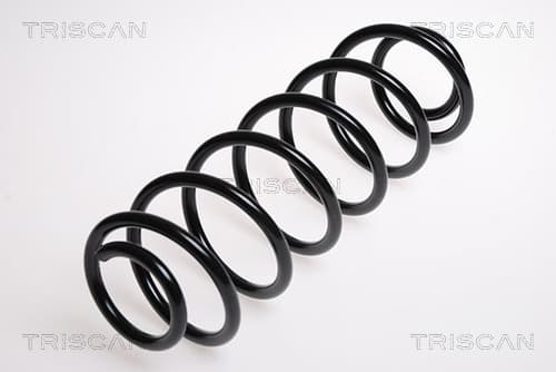 Spiralfjäder bak från TRISCAN