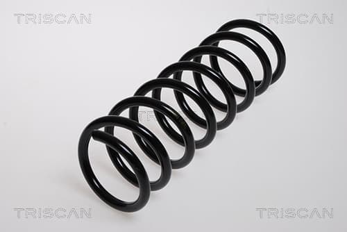 Spiralfjäder bak från TRISCAN