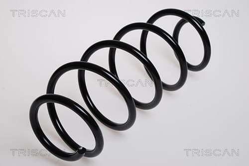Spiralfjäder fram från TRISCAN