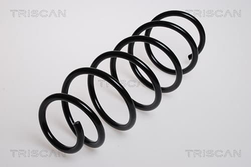 Spiralfjäder bak från TRISCAN