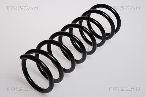 Spiralfjäder bak från TRISCAN