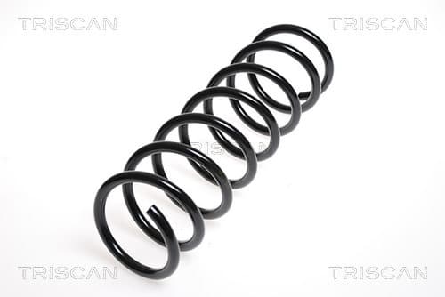 Spiralfjäder bak från TRISCAN