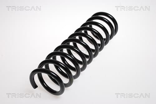 Spiralfjäder bak från TRISCAN