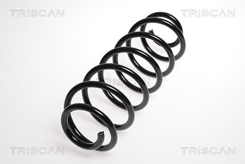 Spiralfjäder bak från TRISCAN