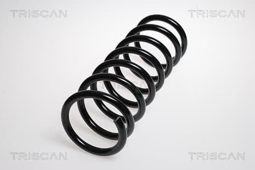 Spiralfjäder bak från TRISCAN