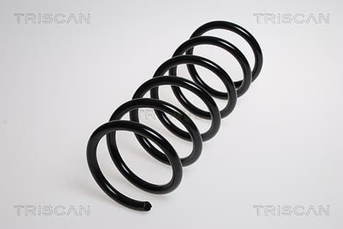 Spiralfjäder bak från TRISCAN