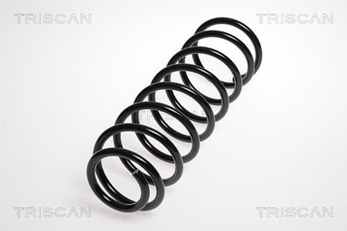 Spiralfjäder bak från TRISCAN