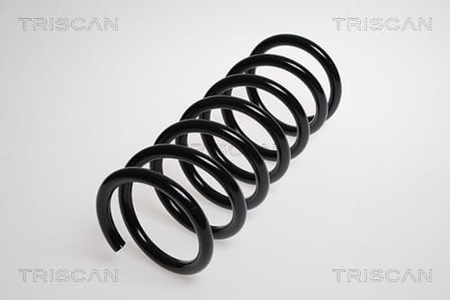 Spiralfjäder bak från TRISCAN