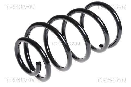 Spiralfjäder fram från TRISCAN