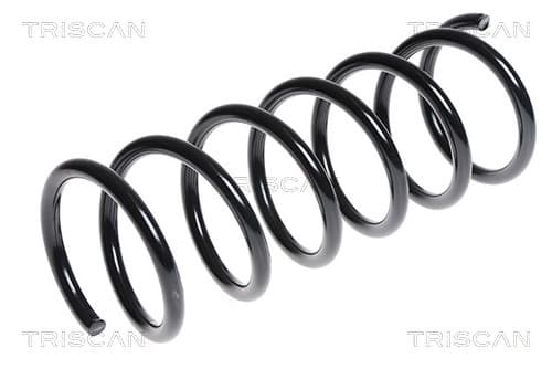 Spiralfjäder bak från TRISCAN