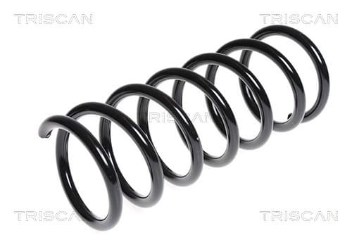 Spiralfjäder bak från TRISCAN