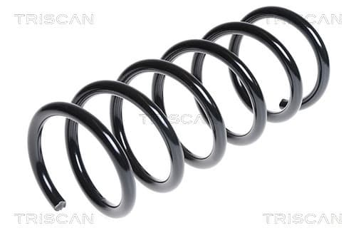 Spiralfjäder bak från TRISCAN