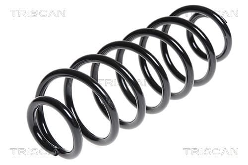 Spiralfjäder bak från TRISCAN