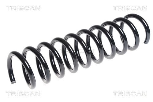 Spiralfjäder bak från TRISCAN