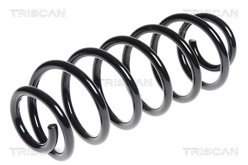 Spiralfjäder bak från TRISCAN