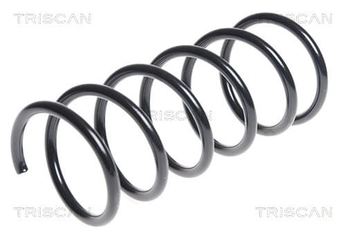Spiralfjäder bak från TRISCAN