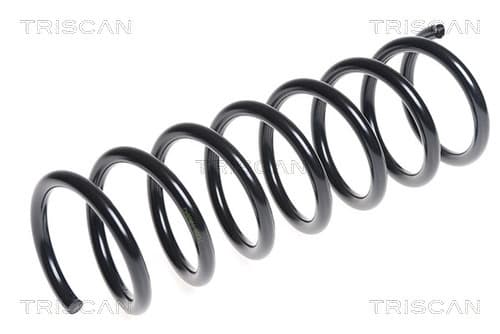 Spiralfjäder bak från TRISCAN