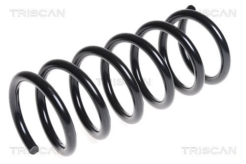 Spiralfjäder bak från TRISCAN