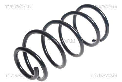 Spiralfjäder fram från TRISCAN
