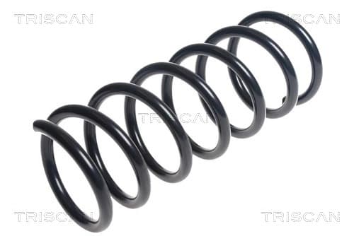 Spiralfjäder bak från TRISCAN