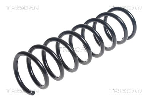 Spiralfjäder bak från TRISCAN