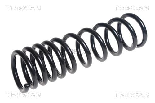 Spiralfjäder bak från TRISCAN
