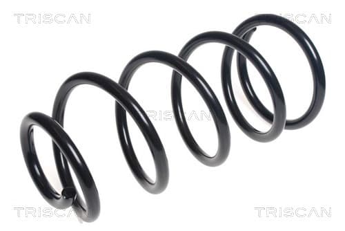 Spiralfjäder fram från TRISCAN