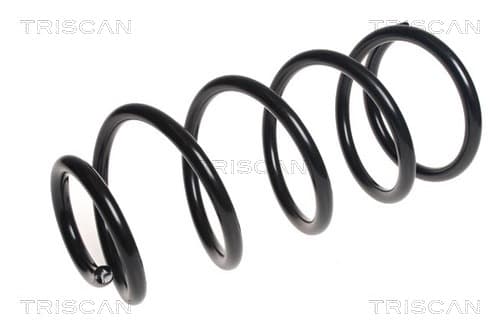 Spiralfjäder fram från TRISCAN