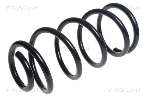 Spiralfjäder fram från TRISCAN