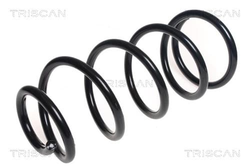 Spiralfjäder fram från TRISCAN