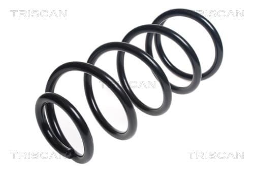 Spiralfjäder fram från TRISCAN